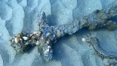 Un buzo encuentra una espada de un caballero cruzado de hace 900 años