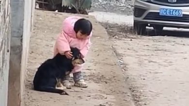 El tierno gesto de una niña china protegiendo a su mascota del ruido de los petardos se vuelve viral
