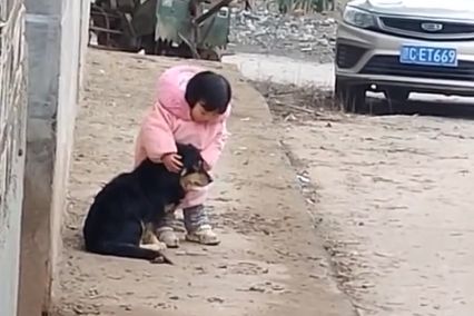 El tierno gesto de una niña china protegiendo a su mascota del ruido de los petardos se vuelve viral