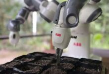 ABB Robotics y la ONG Junglekeepers reforestan con un robot operado desde Suecia la selva del Amazonas peruano